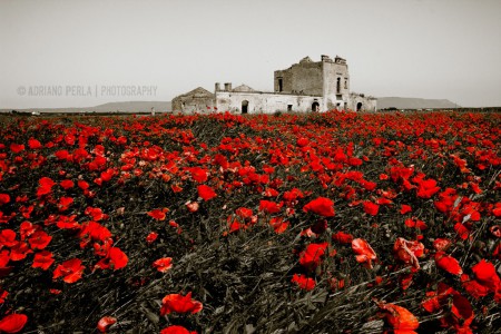 ruderi nel rosso